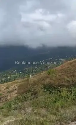 Vista 9