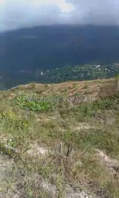 Terreno (Finca) en Venta en El Junko Country Club, Vargas - 10