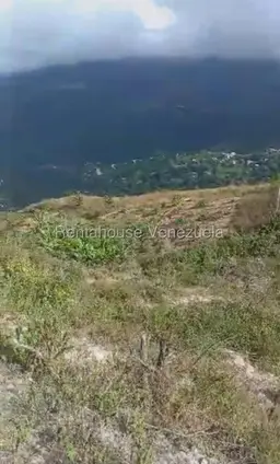 Vista 10