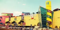 Vista 5