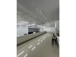 Vista 4