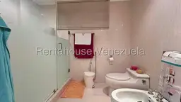 Vista 19