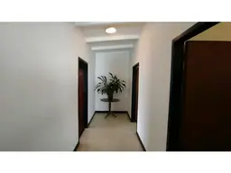 Vista 11