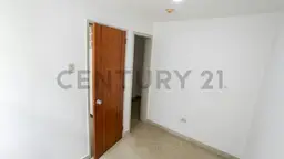 Vista 4