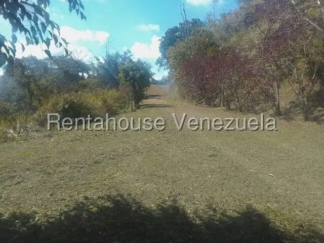 Terreno (Comercial) en Venta en Gavilan, Distrito Metropolitano