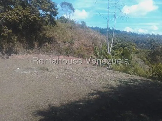 Terreno (Comercial) en Venta en Gavilan, Distrito Metropolitano - 13