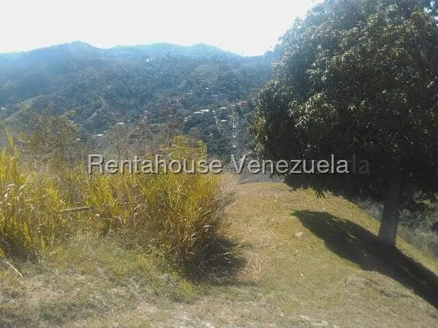Terreno (Comercial) en Venta en Gavilan, Distrito Metropolitano - 19