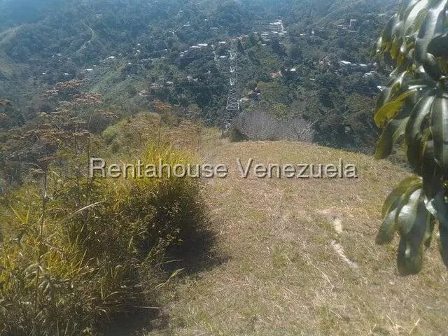 Terreno (Comercial) en Venta en Gavilan, Distrito Metropolitano - 20