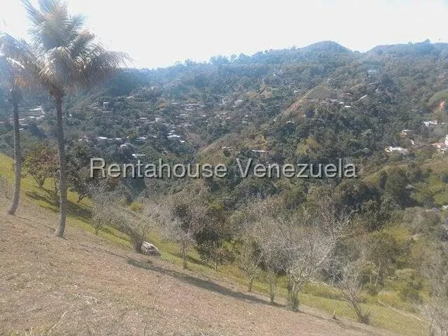 Terreno (Comercial) en Venta en Gavilan, Distrito Metropolitano - 24