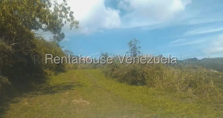 Terreno (Comercial) en Venta en Gavilan, Distrito Metropolitano - 27