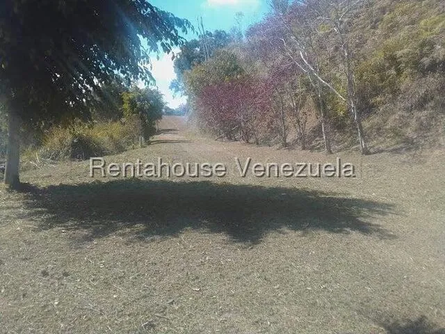 Terreno (Comercial) en Venta en Gavilan, Distrito Metropolitano - 5