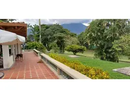 Vista 16