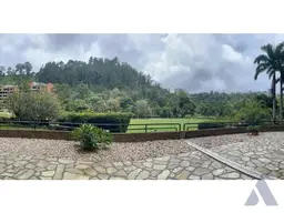 Vista 14