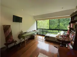 Vista 46
