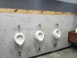 Vista 15