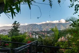 Vista 26