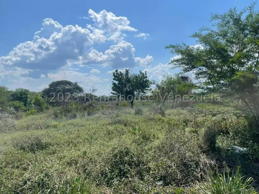 Terreno (Residencial) en Venta en Tucacas, Falcon - 11