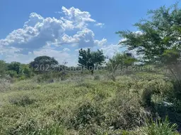 Vista 11