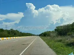 Vista 19
