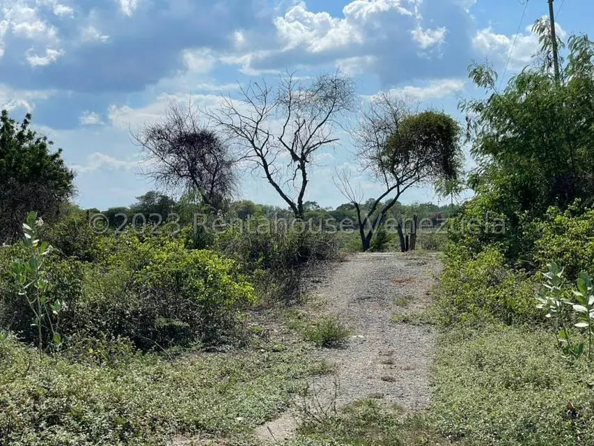Terreno (Residencial) en Venta en Tucacas, Falcon - 2