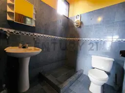 Vista 22