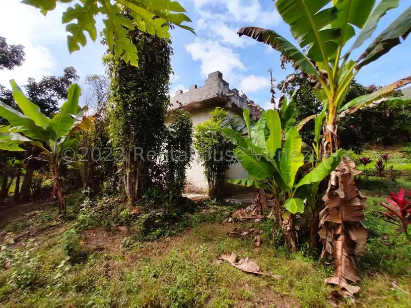 Casa (1 Nivel) en Venta en Asentamiento Campesino Santa Rosalia, Aragua