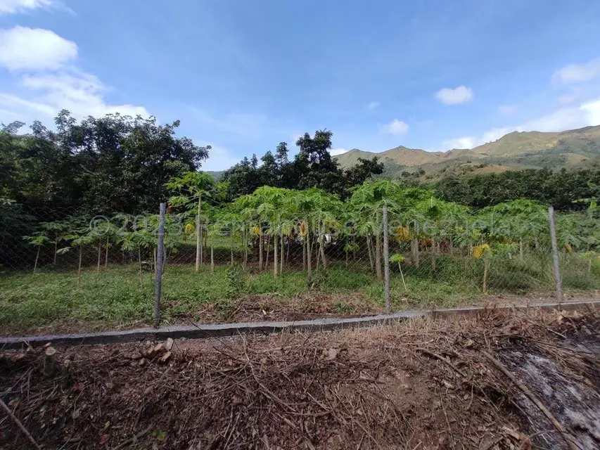 Casa (1 Nivel) en Venta en Asentamiento Campesino Santa Rosalia, Aragua - 14