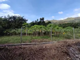 View 14