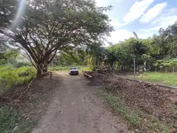 View 15