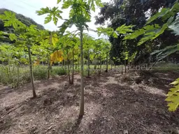 View 16