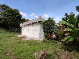View 19