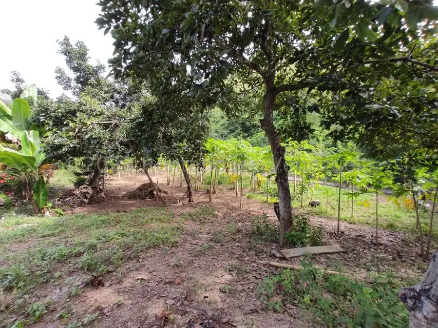 Casa (1 Nivel) en Venta en Asentamiento Campesino Santa Rosalia, Aragua - 20