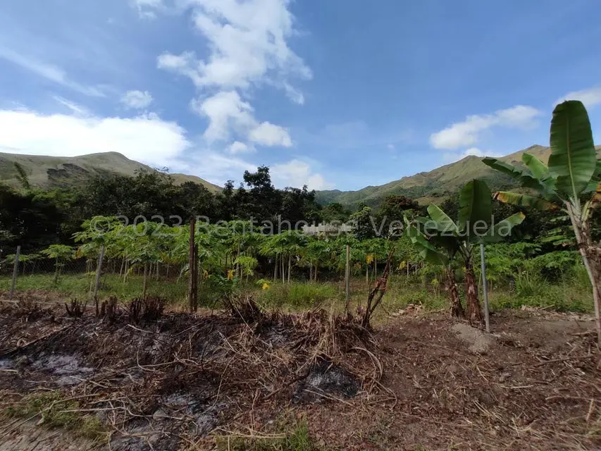 Casa (1 Nivel) en Venta en Asentamiento Campesino Santa Rosalia, Aragua - 21