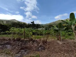 View 21
