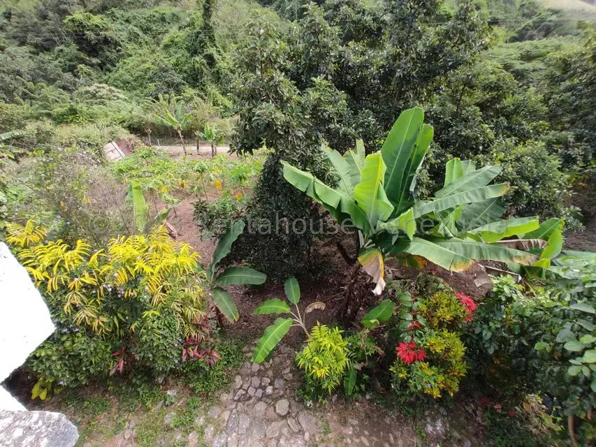 Casa (1 Nivel) en Venta en Asentamiento Campesino Santa Rosalia, Aragua - 23