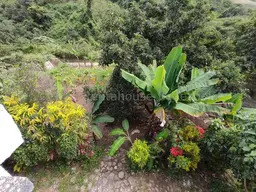 View 23