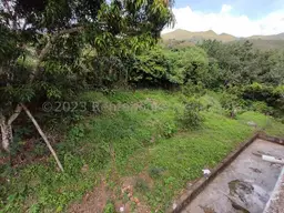 View 25