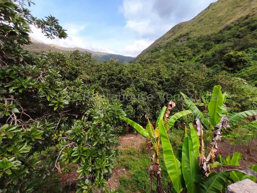 Casa (1 Nivel) en Venta en Asentamiento Campesino Santa Rosalia, Aragua - 26