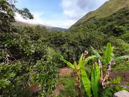 View 26