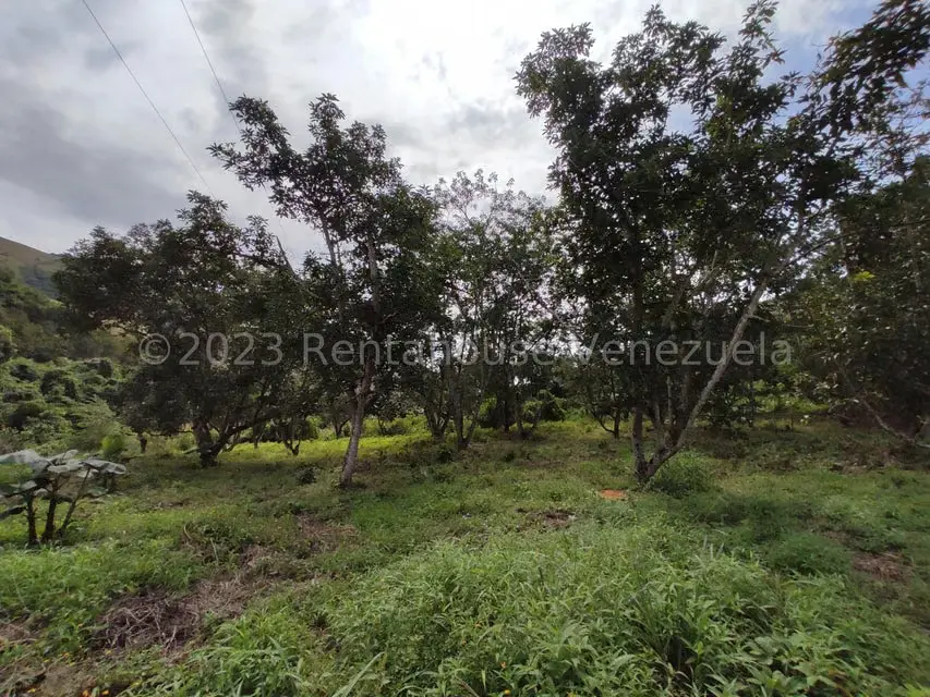 Casa (1 Nivel) en Venta en Asentamiento Campesino Santa Rosalia, Aragua - 27