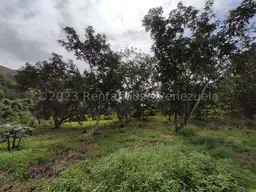 View 27