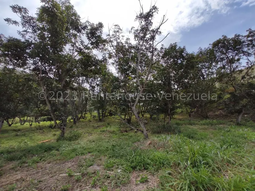 Casa (1 Nivel) en Venta en Asentamiento Campesino Santa Rosalia, Aragua - 28