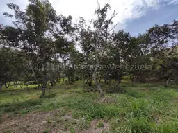 View 28