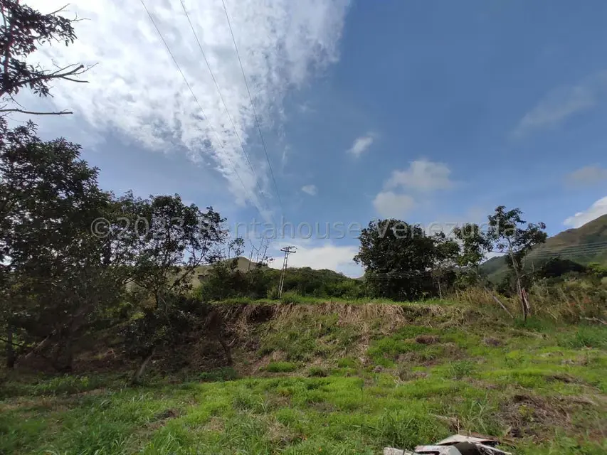Casa (1 Nivel) en Venta en Asentamiento Campesino Santa Rosalia, Aragua - 29