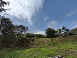 View 29