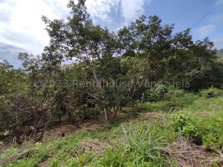 Casa (1 Nivel) en Venta en Asentamiento Campesino Santa Rosalia, Aragua - 31