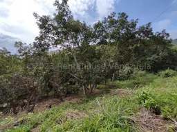 View 31
