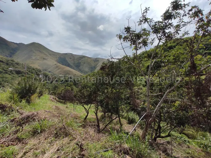 Casa (1 Nivel) en Venta en Asentamiento Campesino Santa Rosalia, Aragua - 33