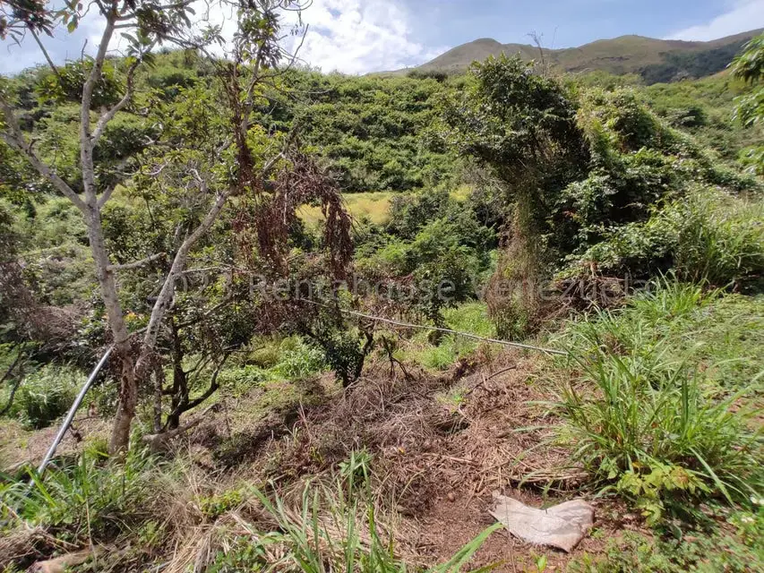 Casa (1 Nivel) en Venta en Asentamiento Campesino Santa Rosalia, Aragua - 34