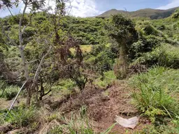 View 34